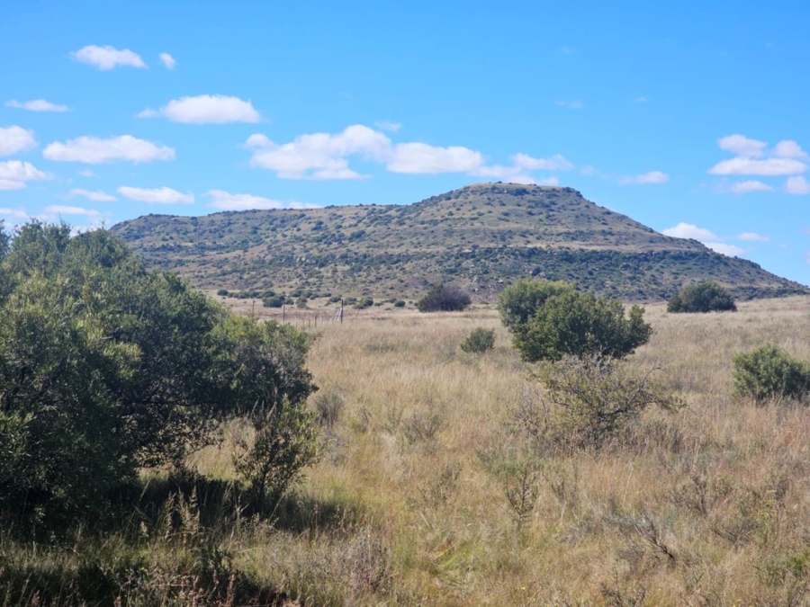 4 Bedroom Property for Sale in Dewetsdorp Free State